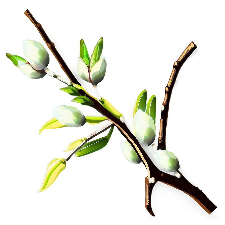 Tree Branches With Buds Png 06282024 PNG Image