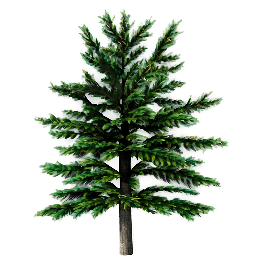 Tree Elevation Png 06262024 PNG Image