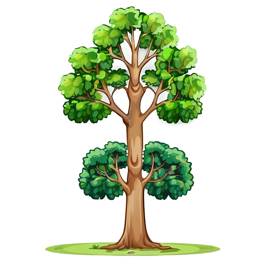 Tree Elevation Png 06262024 PNG Image