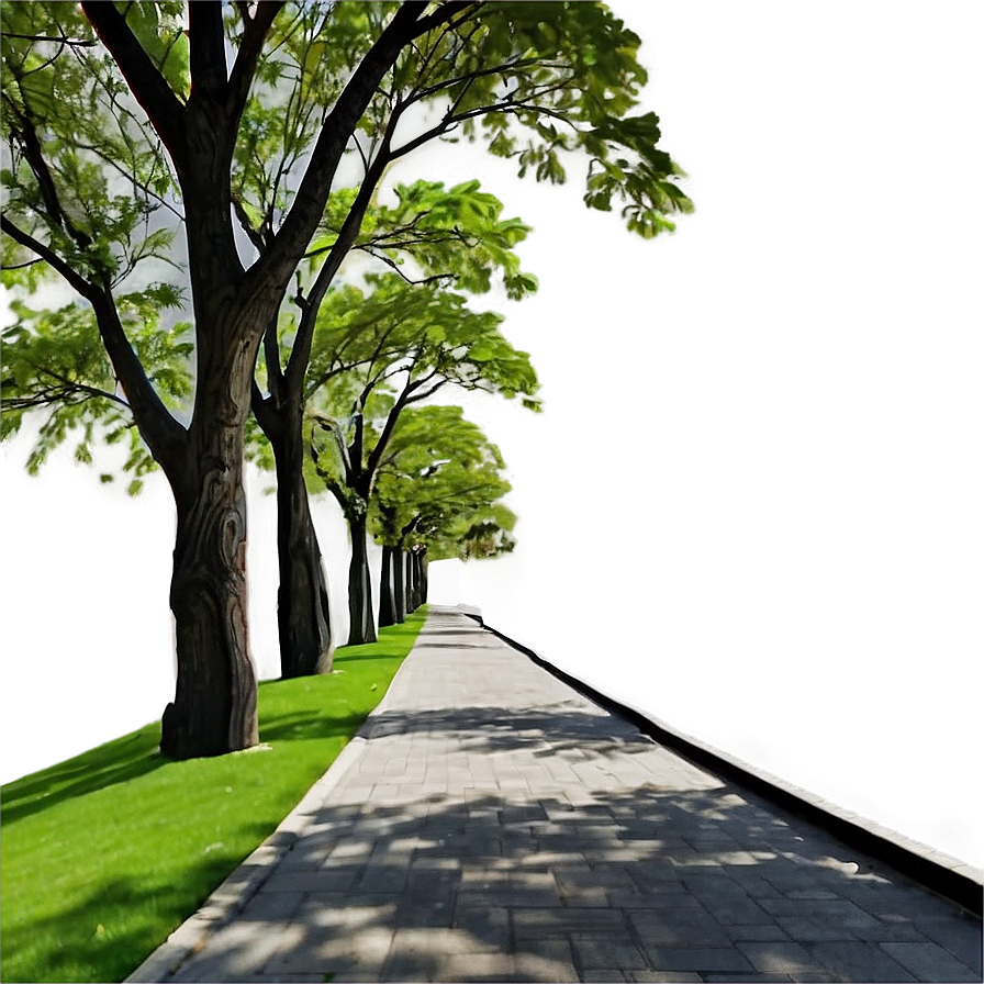 Tree Line Pathway Png Hef PNG Image