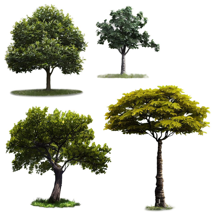 Tree Line Scenery Png Hjd96 PNG Image