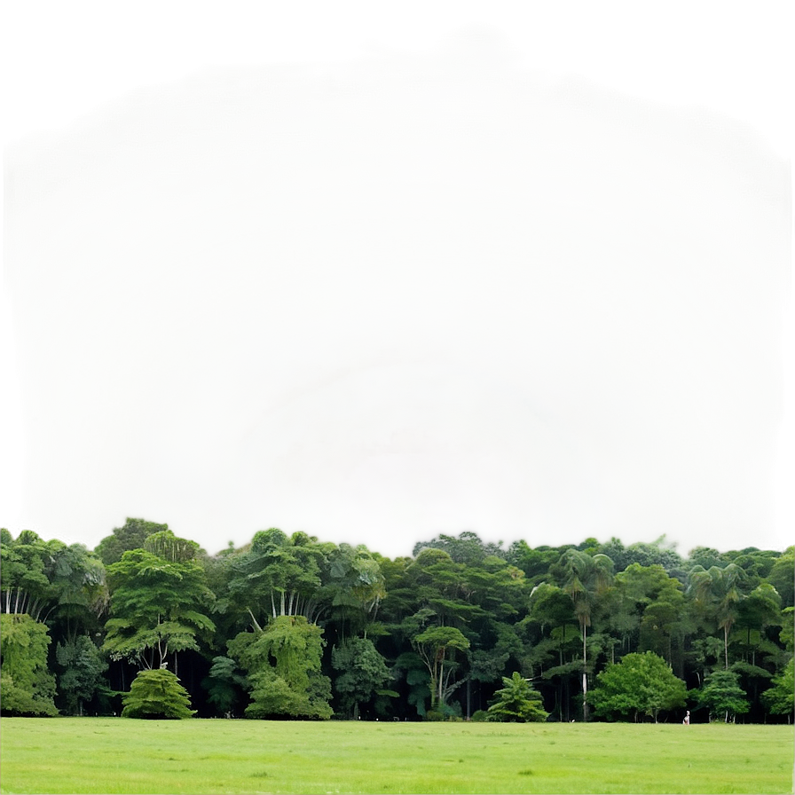 Tree Line Vista Png Qpw28 PNG Image