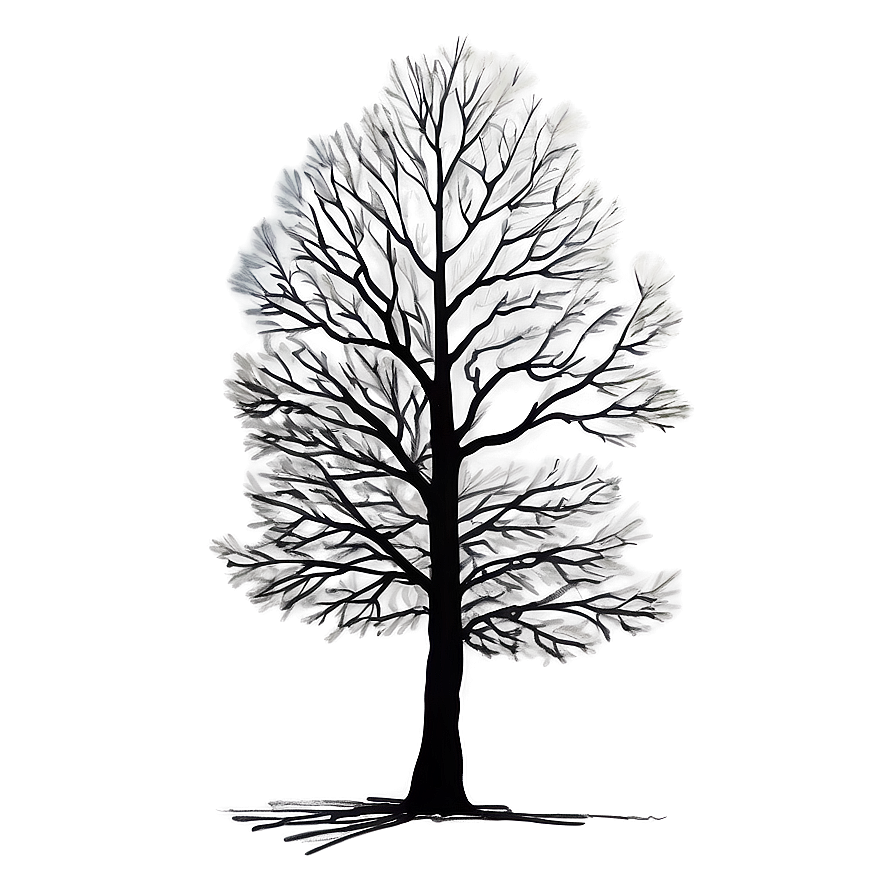 Tree Sketch Png Byv12 PNG Image