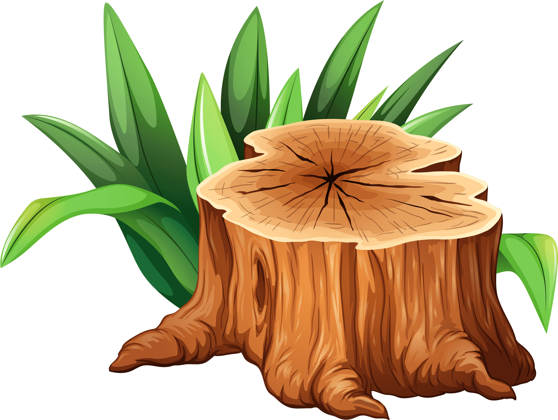 Tree Stump Illustration PNG Image