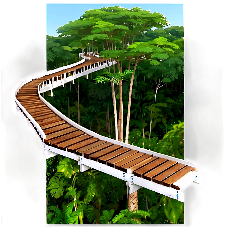 Tree Top Canopy Walkway View Png Rqh PNG Image