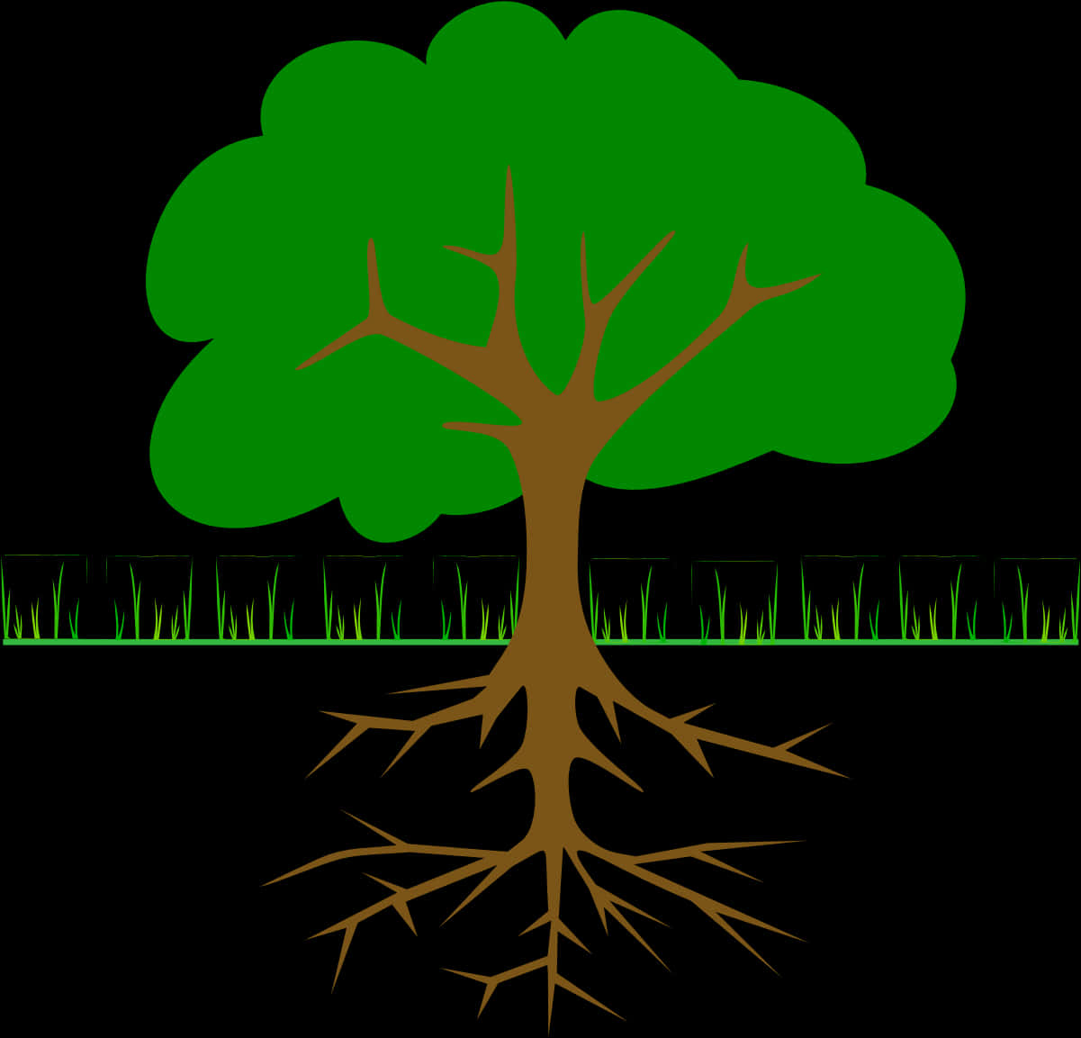 Tree_with_ Exposed_ Roots_ Vector PNG Image