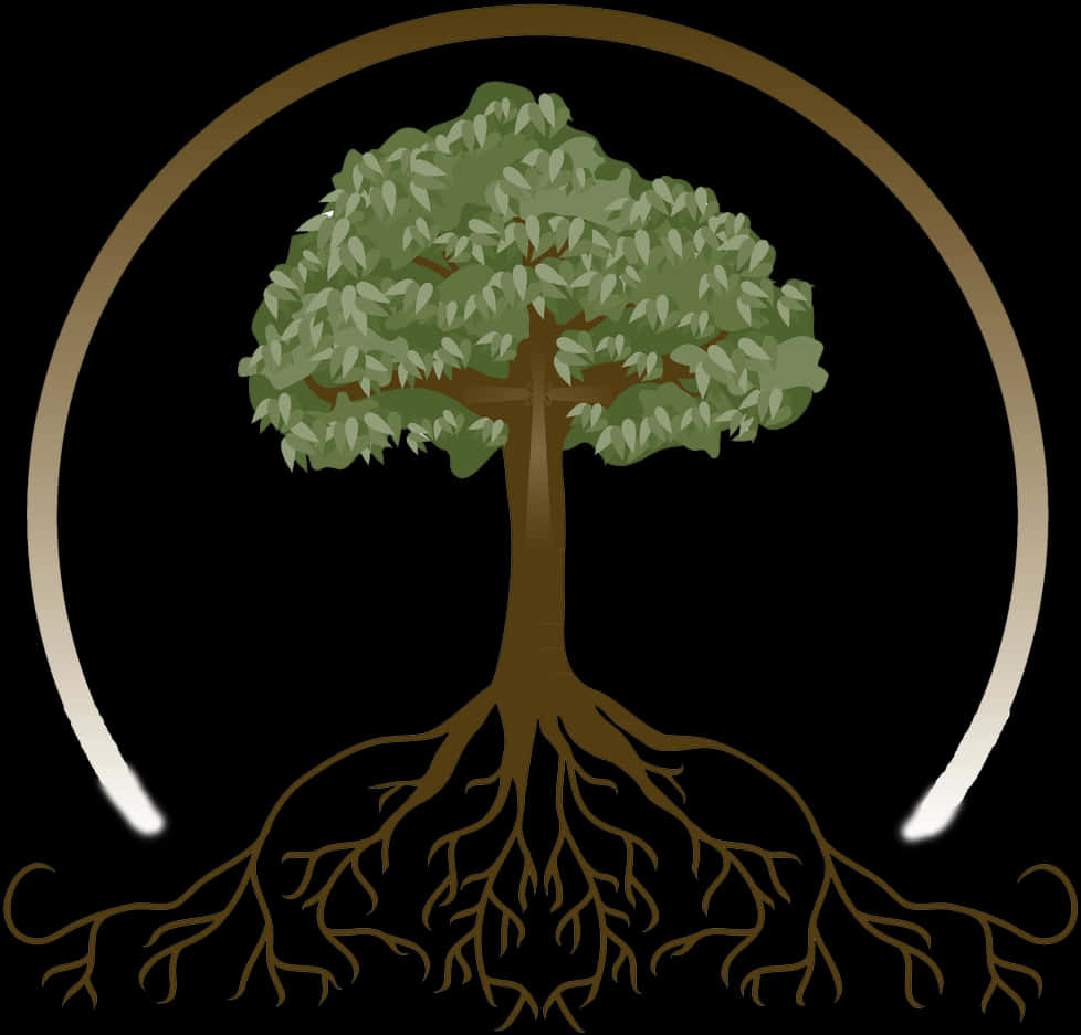 Tree_with_ Extensive_ Roots_ Vector PNG Image