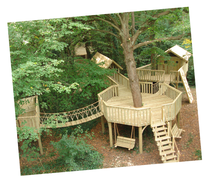 Treehouse Playgroundin Forest PNG Image