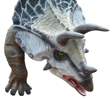 Triceratops_ Model_ Closeup PNG Image