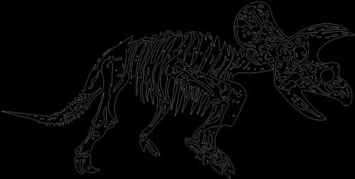 Triceratops Skeleton Outline PNG Image