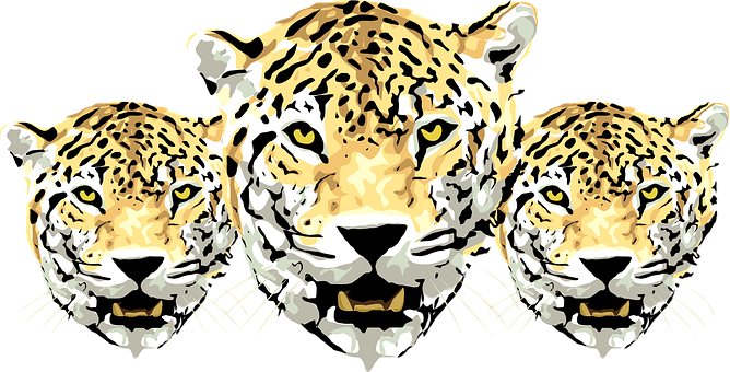 Triplet Leopard Illustration PNG Image