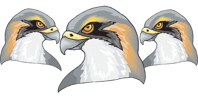 Triptych Eagle Heads Illustration PNG Image