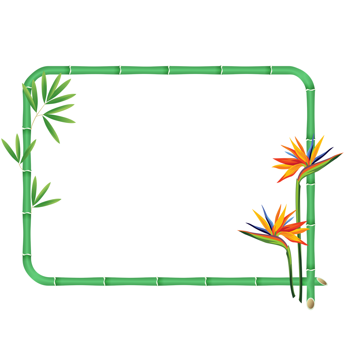 Tropical Bamboo Frame PNG Image