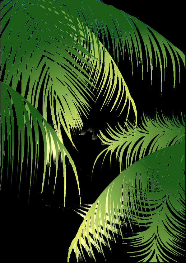 Tropical Coconut Palm Fronds Art PNG Image