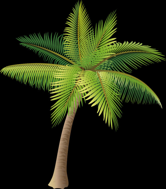 Tropical Coconut Tree Illustration PNG Image