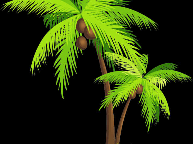 Tropical Coconut Trees Illustration PNG Image