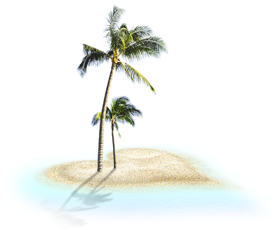 Tropical Coconut Treeson Island PNG Image