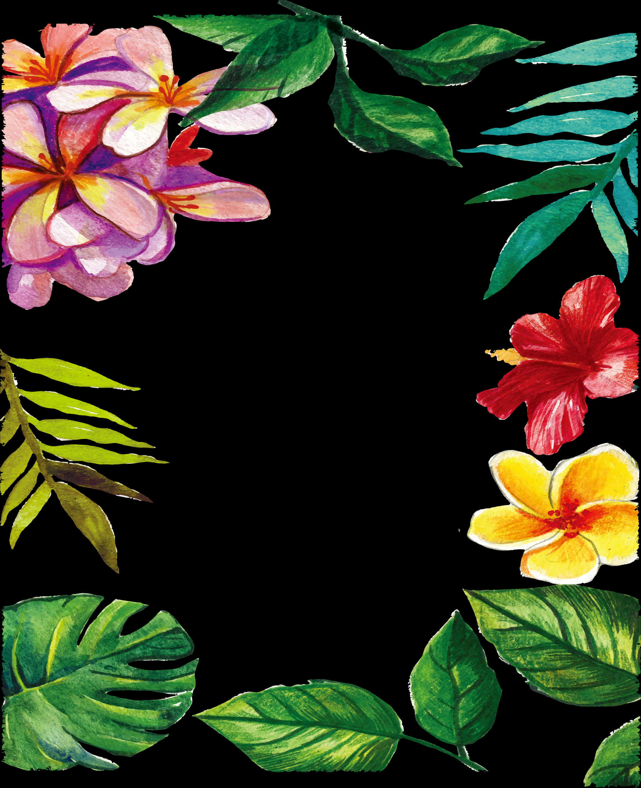 Tropical_ Floral_ Frame_ Border PNG Image