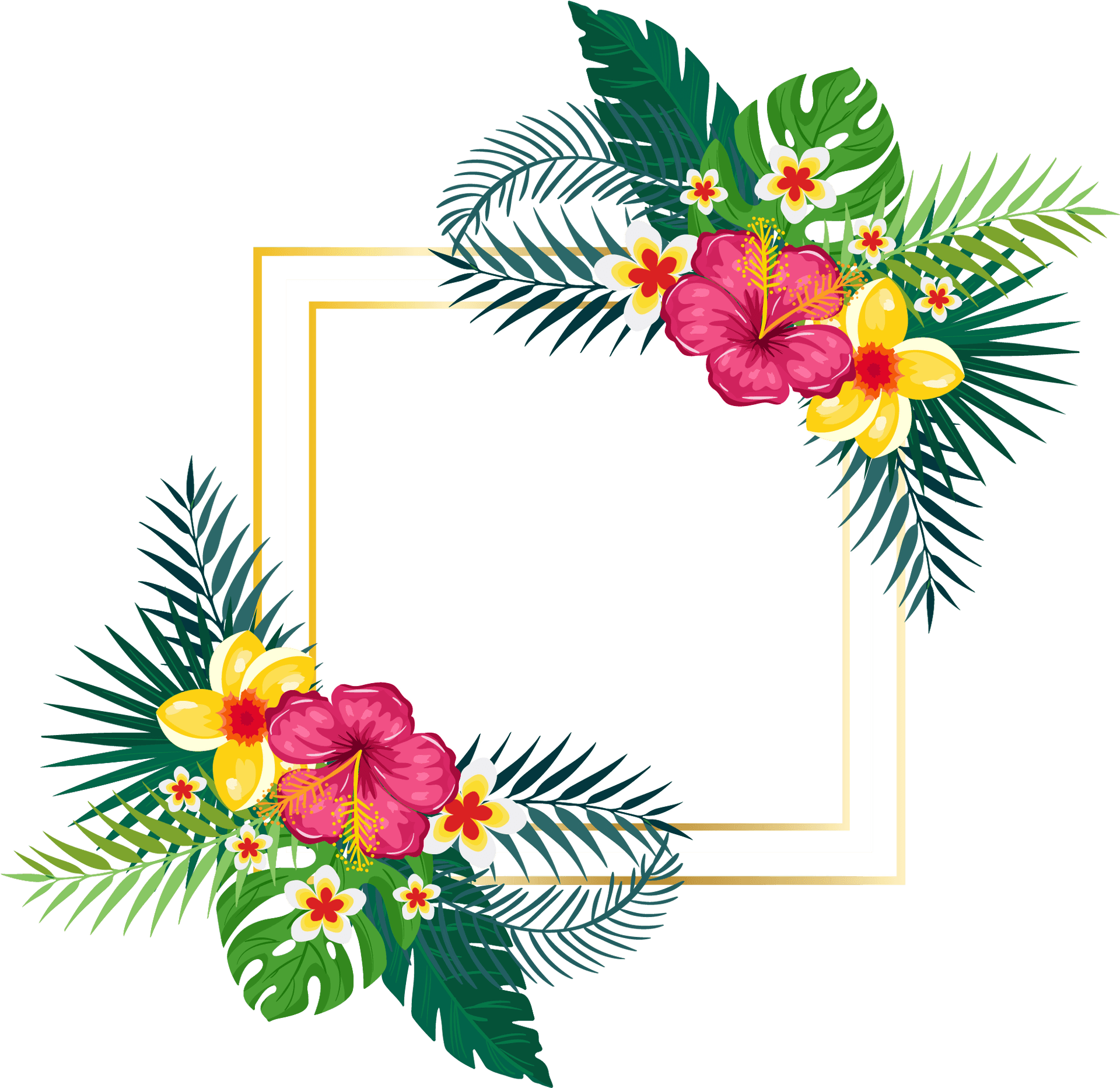 Tropical_ Floral_ Frame_ Summer_ Clipart PNG Image