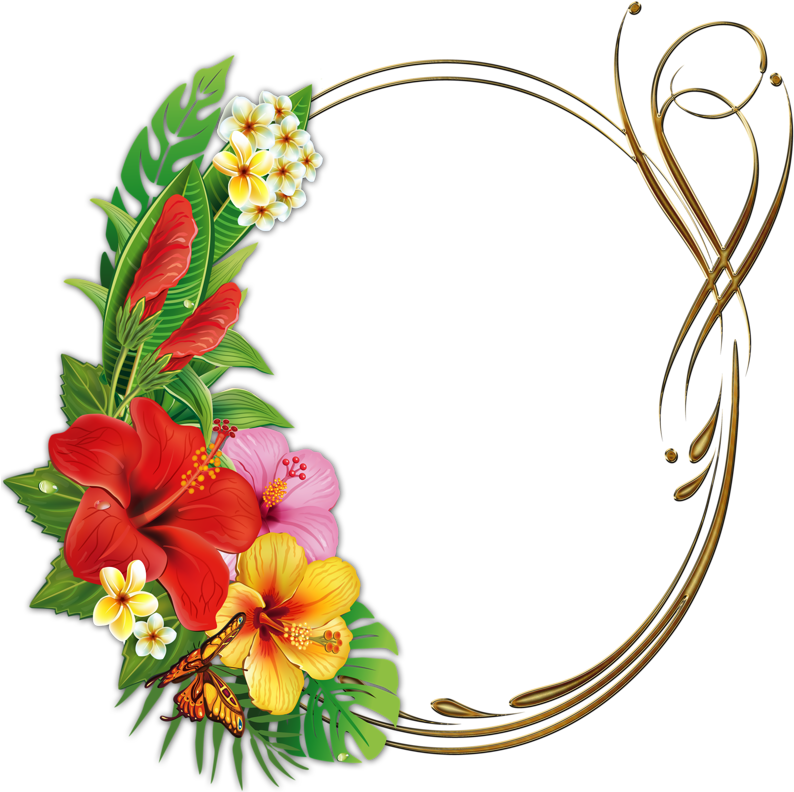 Tropical Floral Photo Frame Design PNG Image