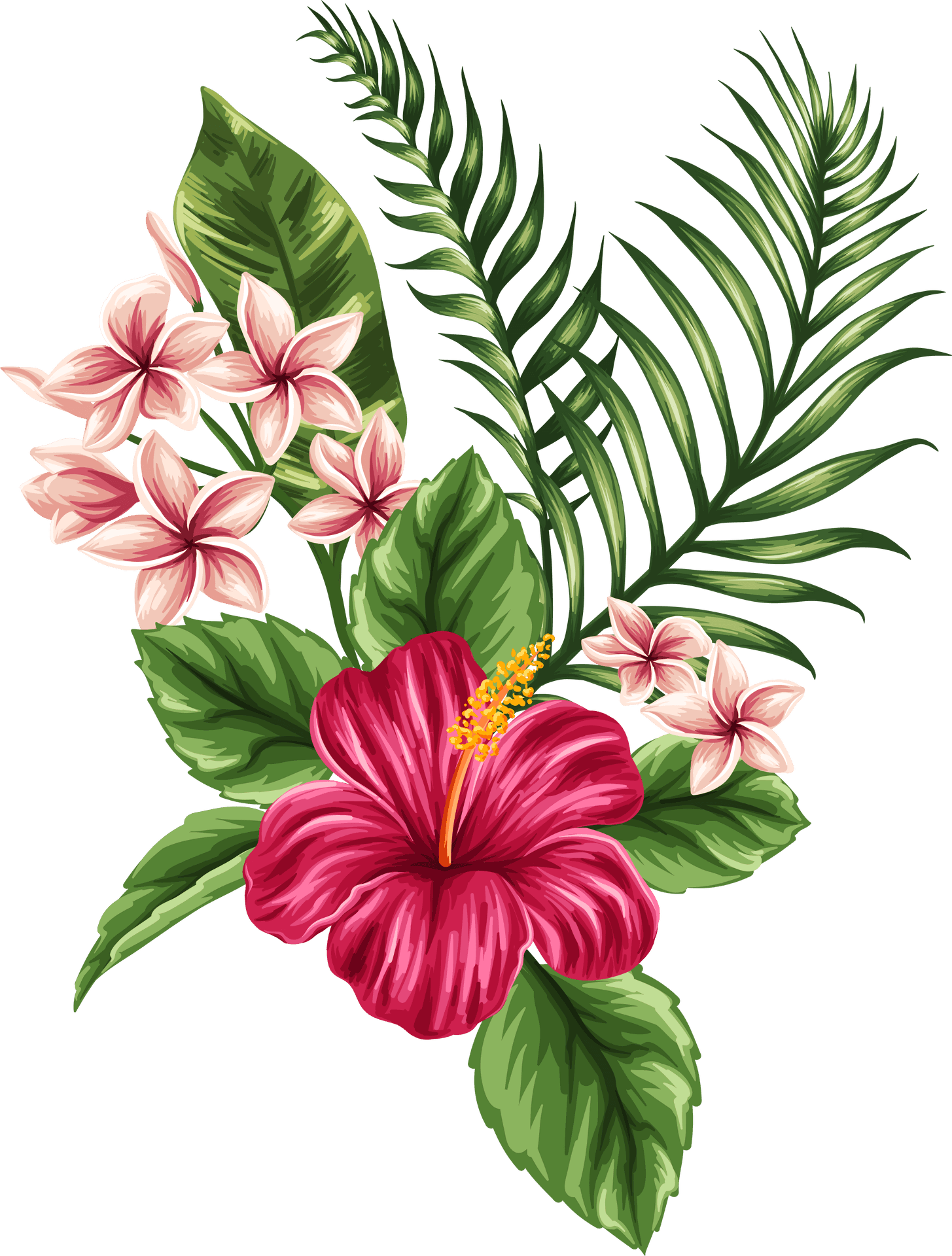 Tropical Flowers Illustration PNG Image