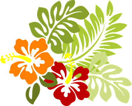 Tropical_ Flowers_ Vector_ Illustration PNG Image