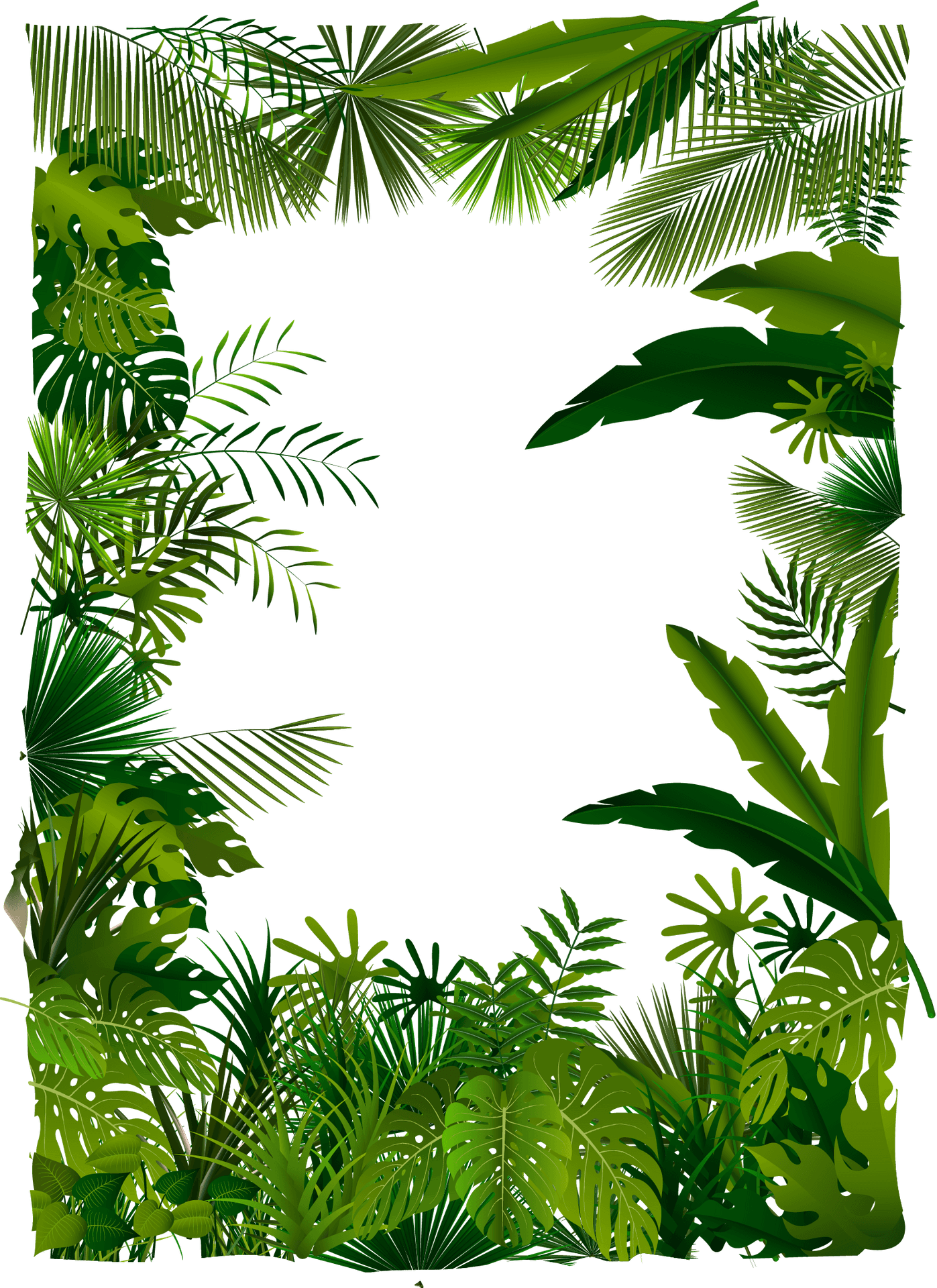 Tropical Foliage Frame Design PNG Image