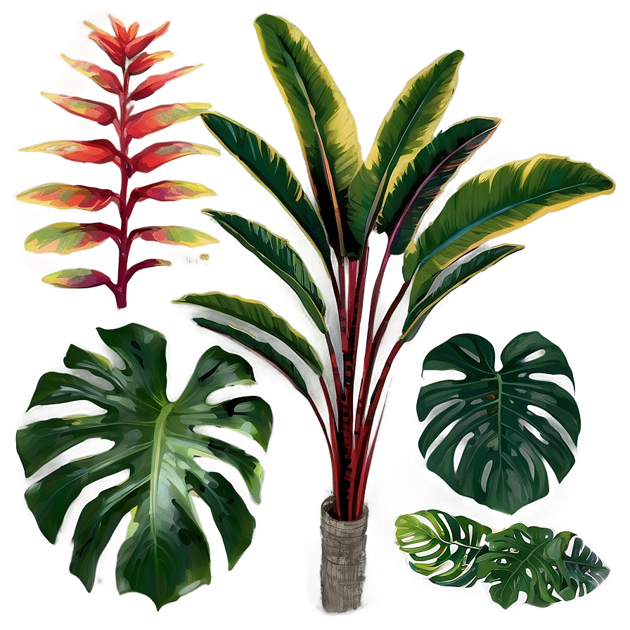 Tropical Foliage Plants Png 77 PNG Image