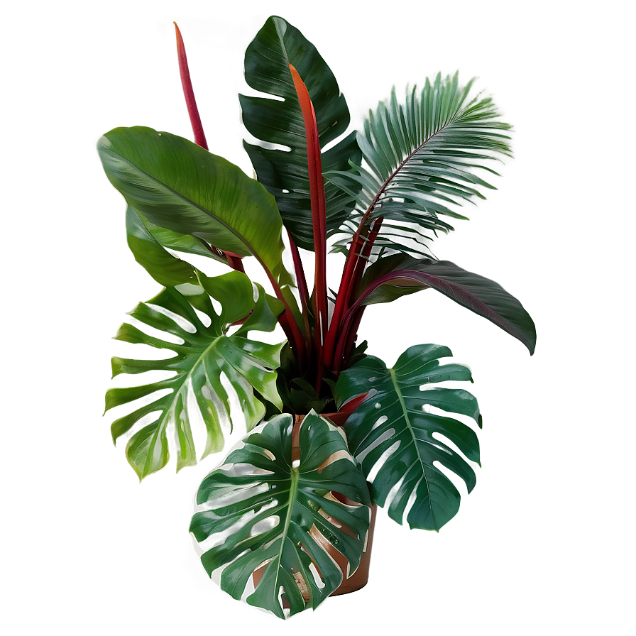 Tropical Foliage Plants Png Jfj PNG Image