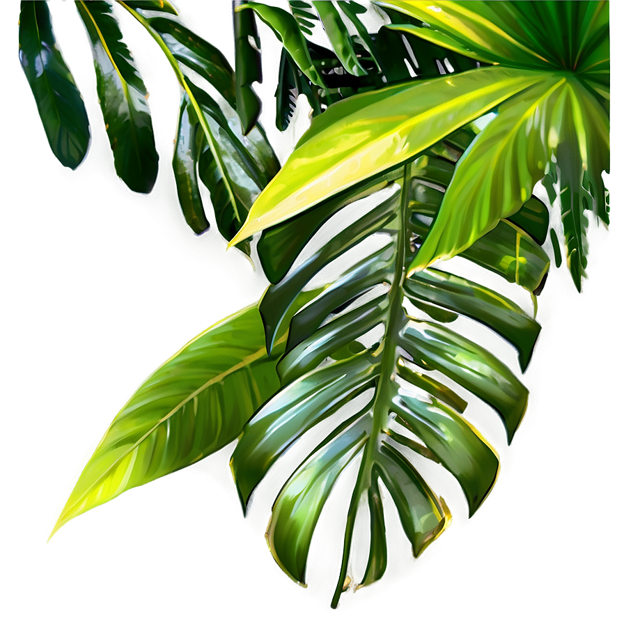 Tropical Foliage Png 67 PNG Image