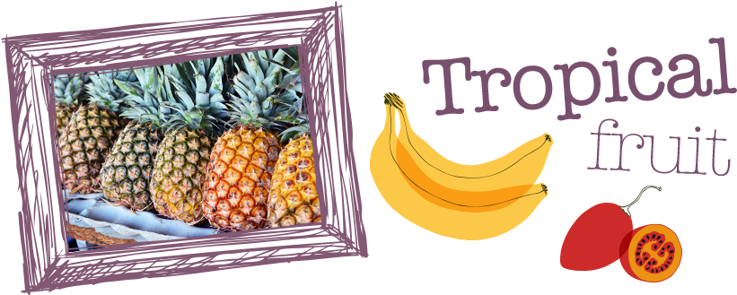 Tropical Fruit Display PNG Image