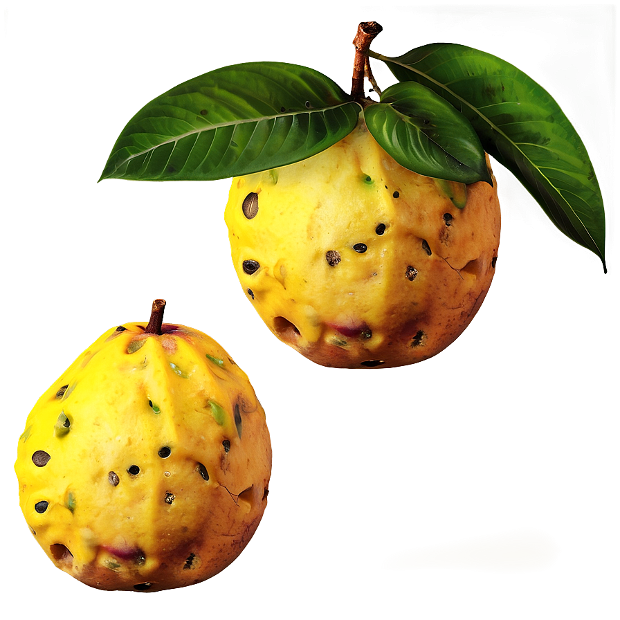 Tropical Fruit Set Png 05212024 PNG Image