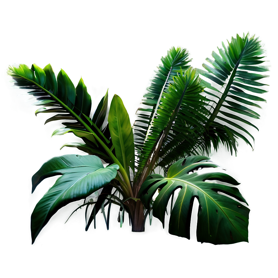 Tropical Garden Plants Png Epj52 PNG Image