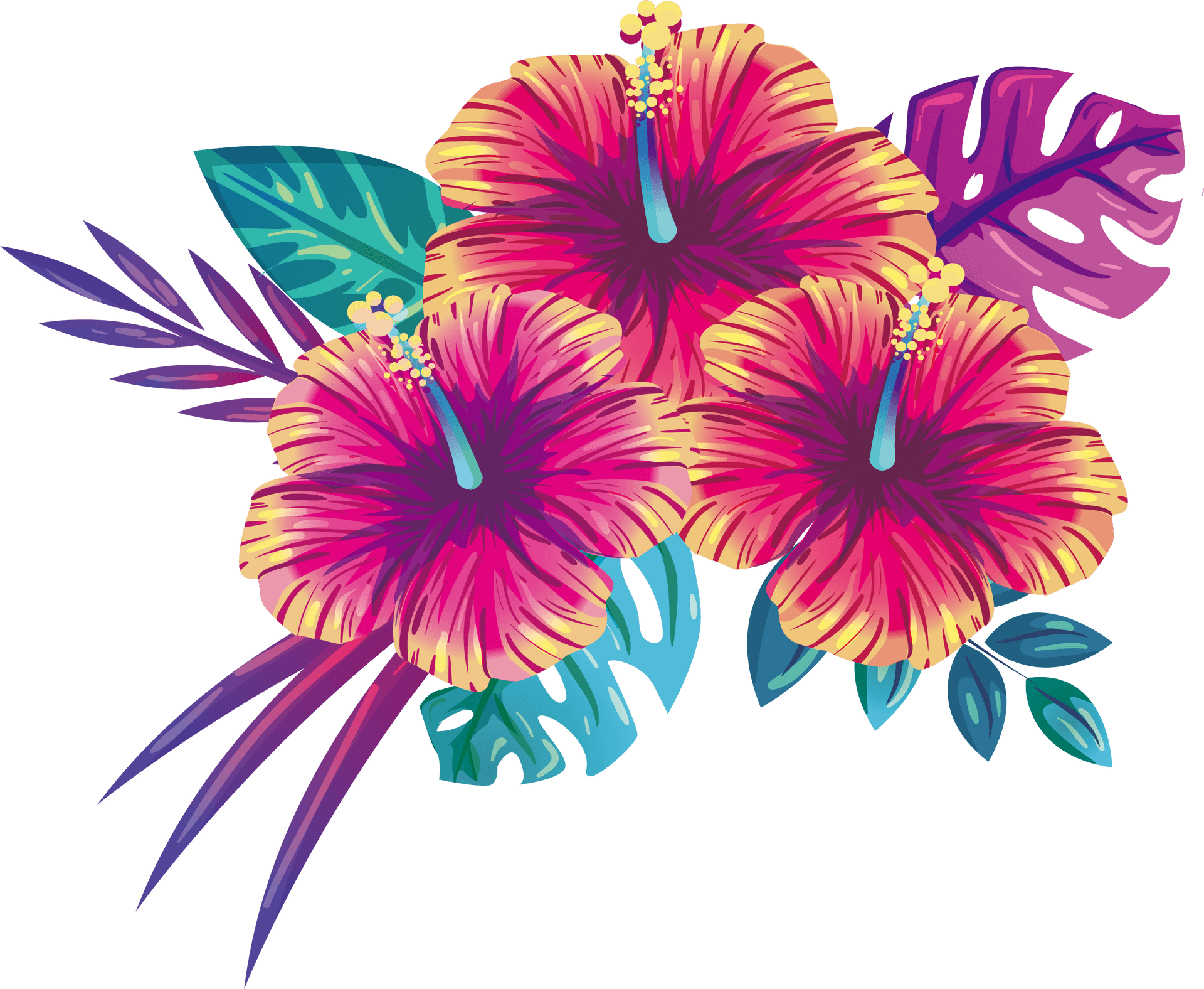 Tropical Hibiscus Floral Illustration PNG Image