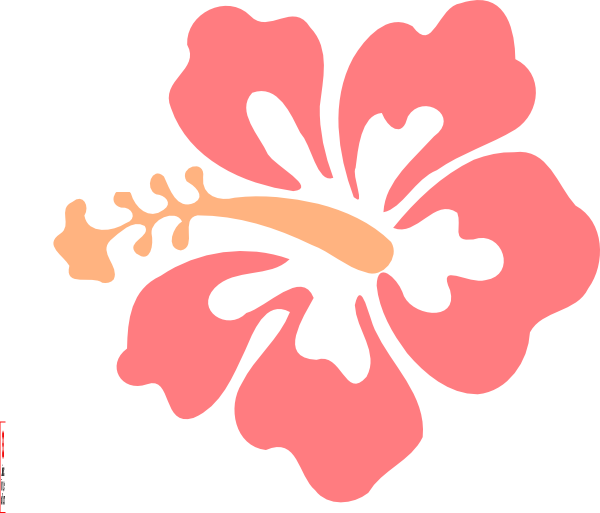 Tropical Hibiscus Flower Illustration PNG Image