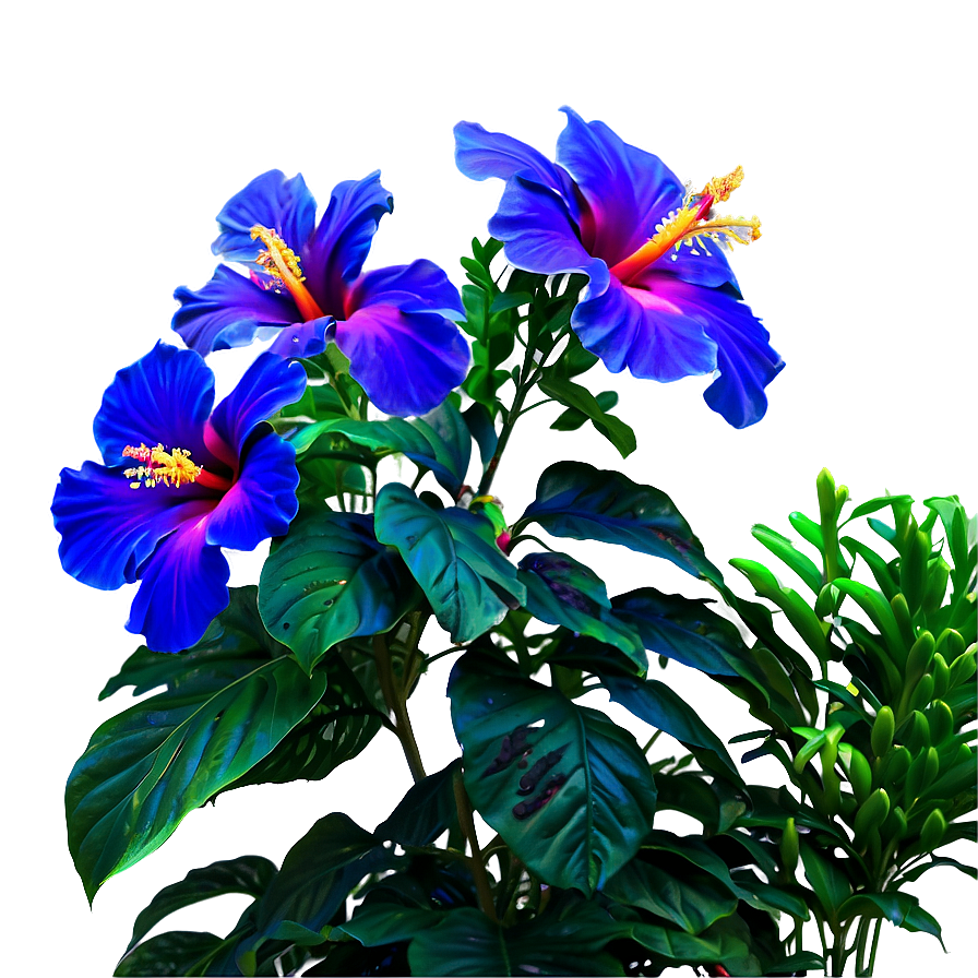 Tropical Hibiscus Garden Png Ndf PNG Image