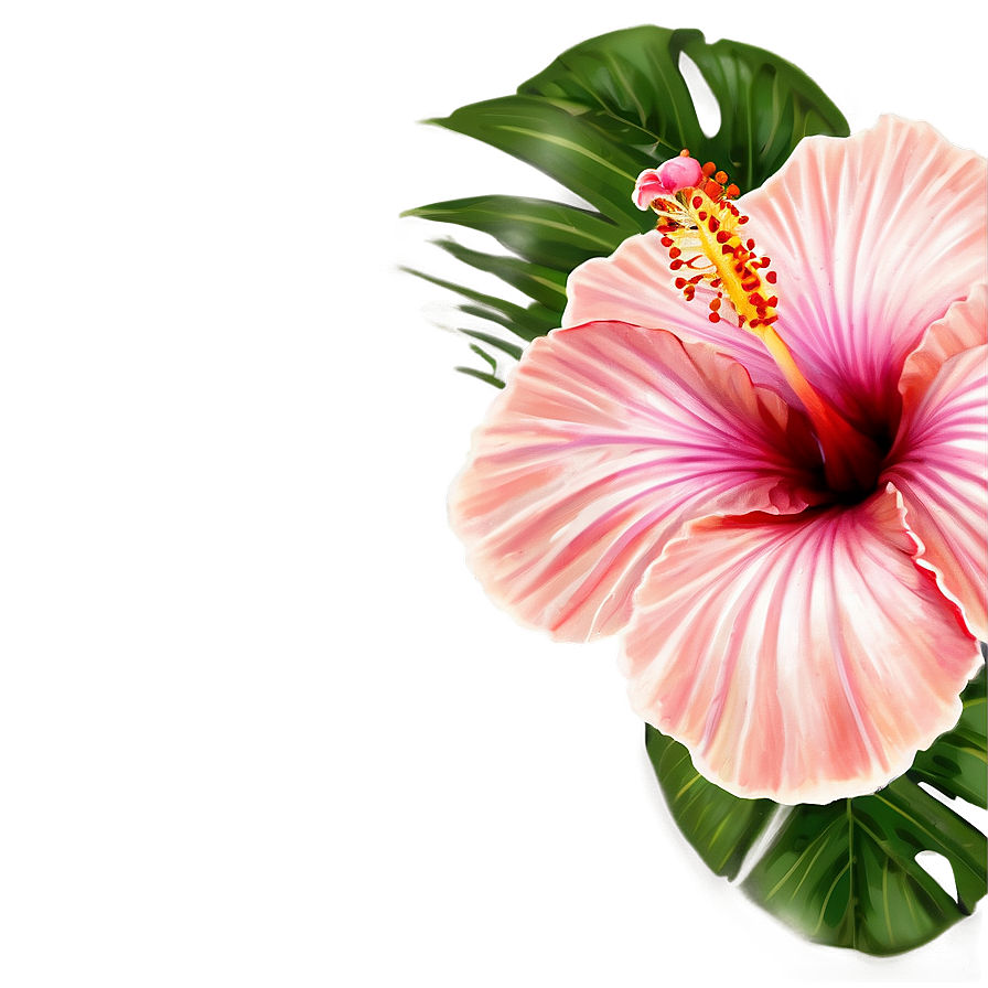 Tropical Hibiscus Png 04292024 PNG Image