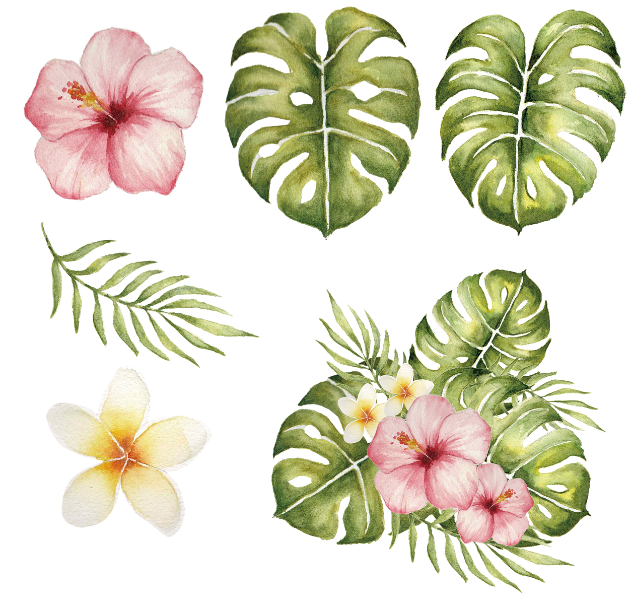 Tropical Hibiscusand Monstera Illustration PNG Image