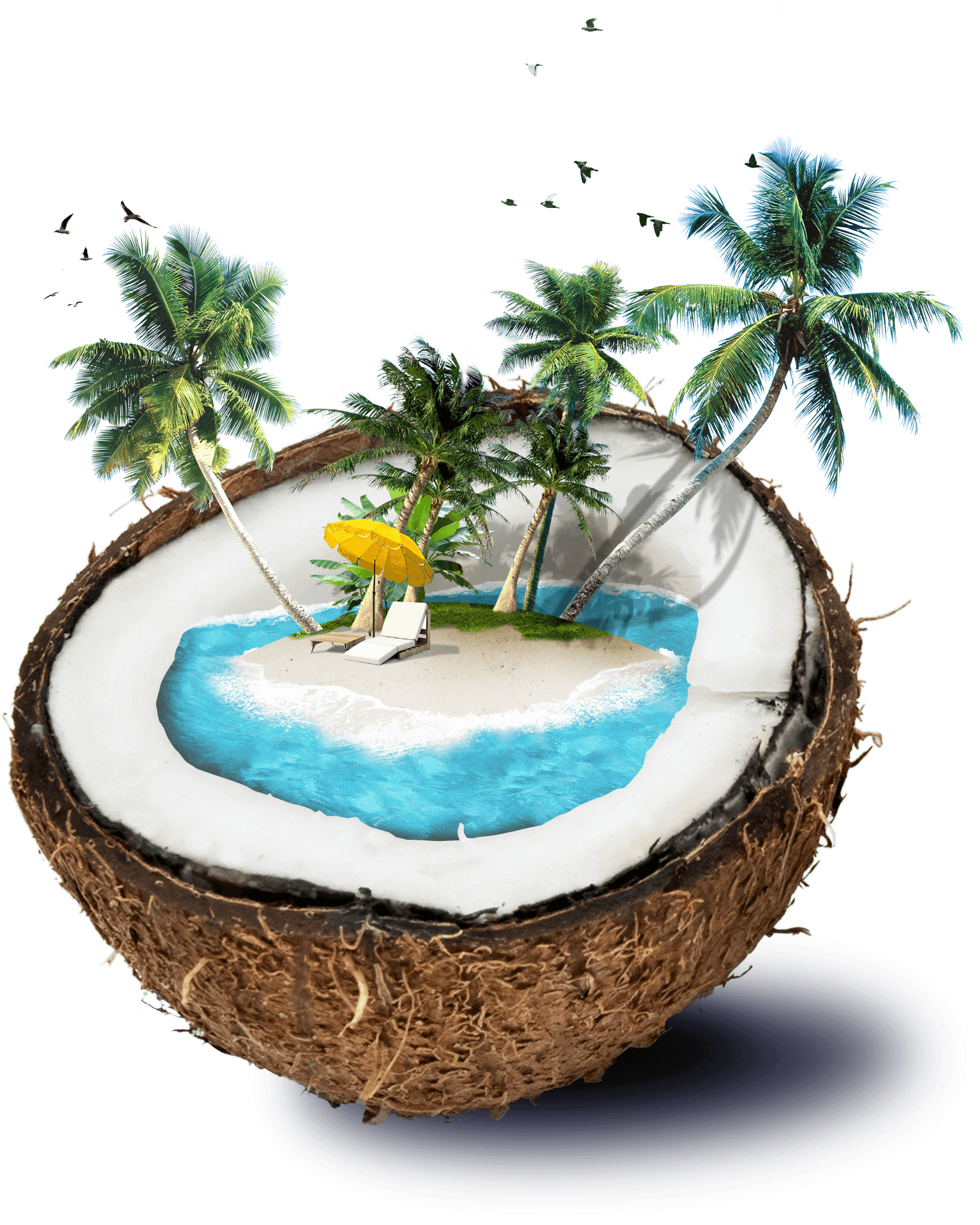 Tropical Island Coconut Fantasy PNG Image