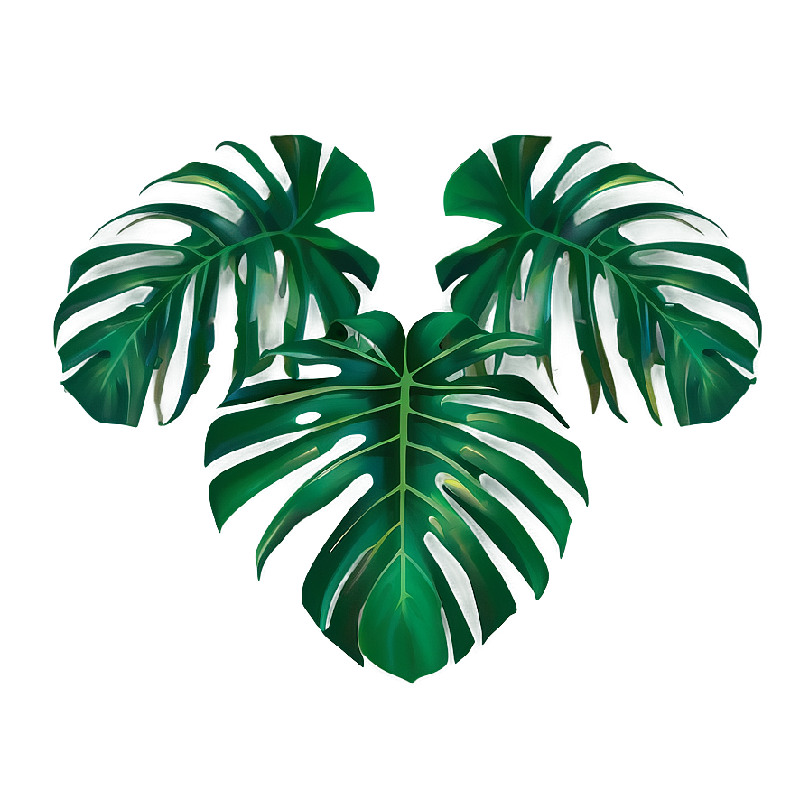 Tropical Leaf Border Png Gsr85 PNG Image