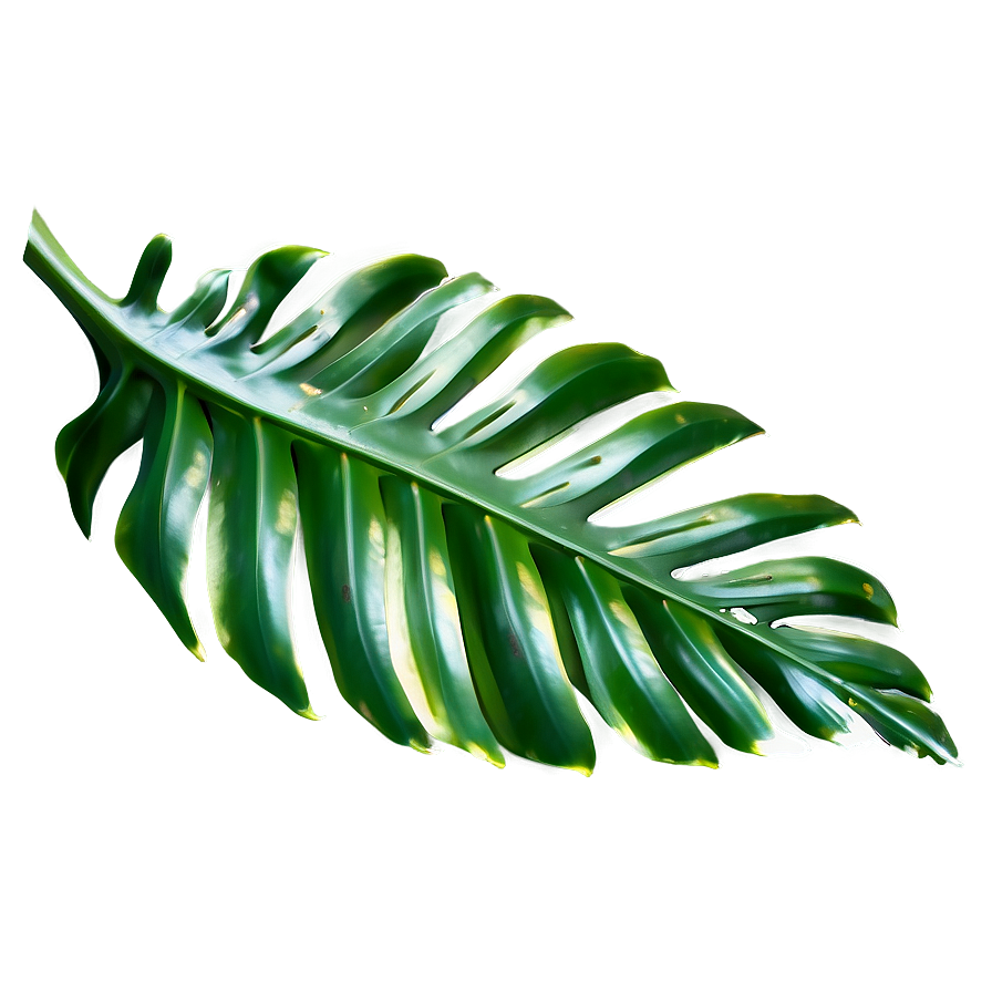 Tropical Leaf Detail Png Jja20 PNG Image