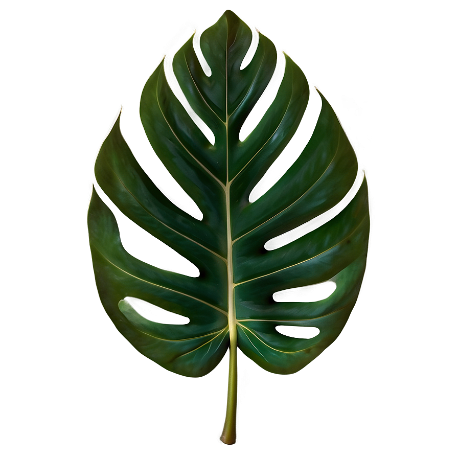 Tropical Leaf Pattern Png Ody PNG Image