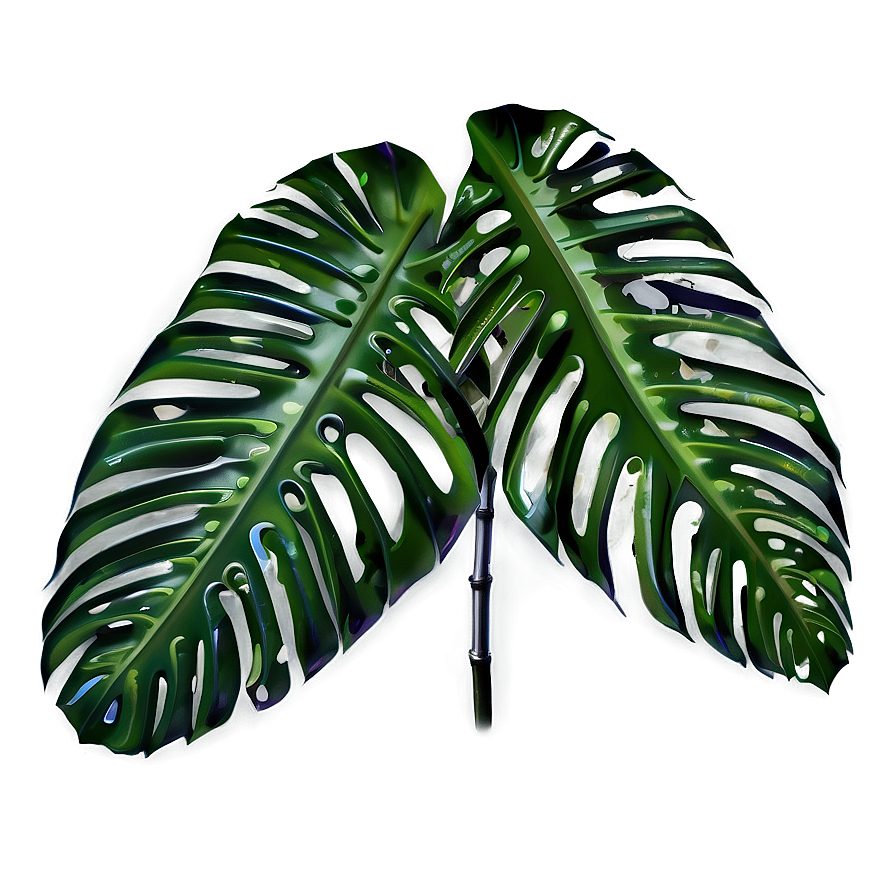 Tropical Leaf Png 06252024 PNG Image