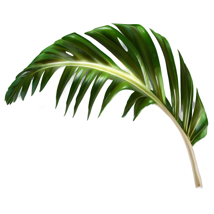 Tropical Leaf Png Uxd88 PNG Image