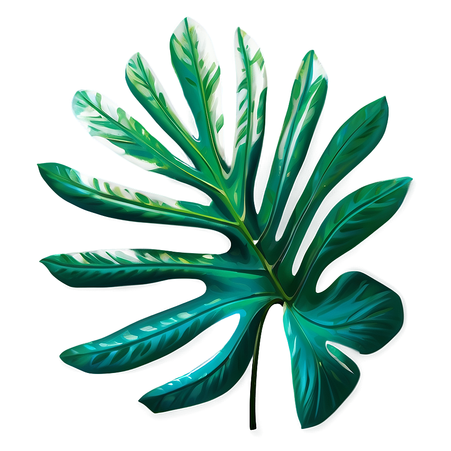 Tropical Leaf Shadow Png Xtp PNG Image