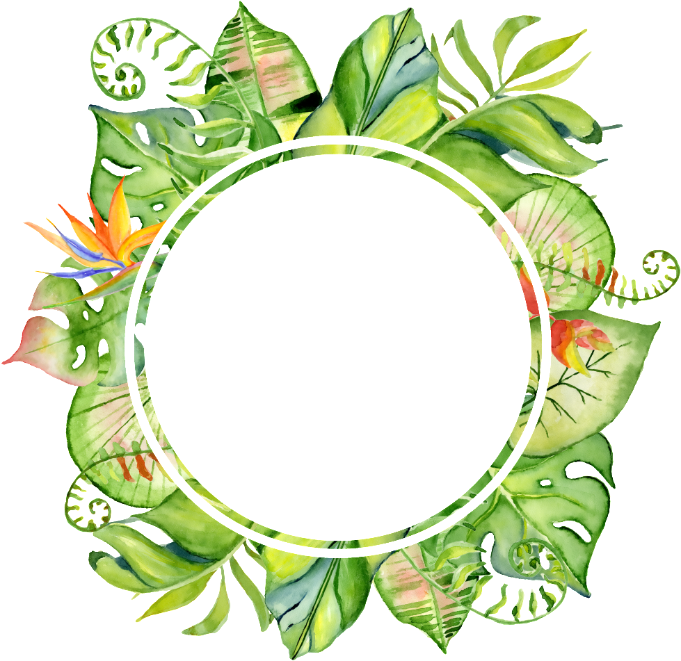 Tropical Leaves Certificate Border PNG Image