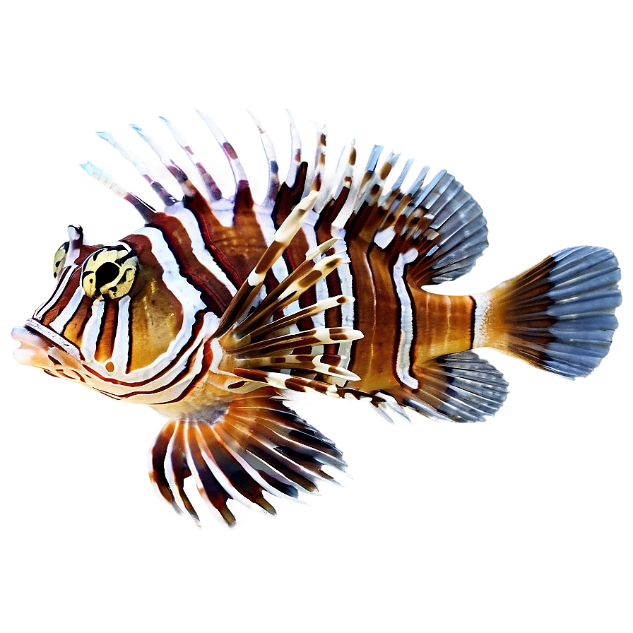 Tropical Lionfish Png Lqu PNG Image