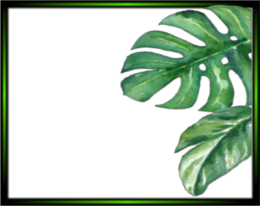 Tropical Monstera Leaves Frame PNG Image