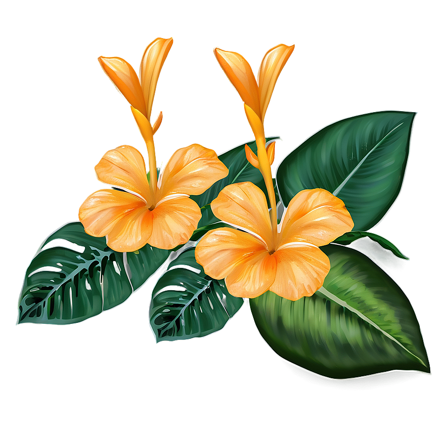 Tropical Orange Flower Png 50 PNG Image