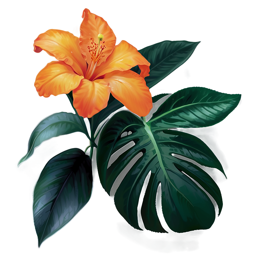 Tropical Orange Flower Png Lsy38 PNG Image